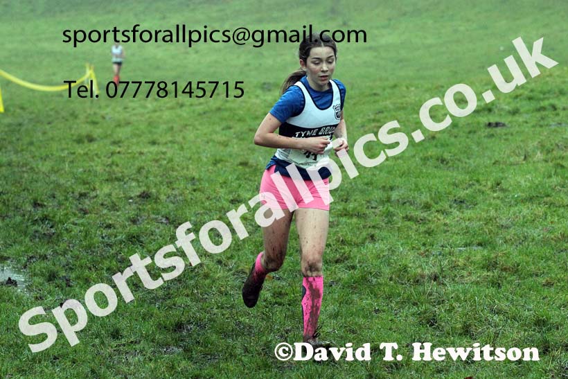 Girls under-15s, NECAA Junior Cross Country Relays, Thornley Farm, Peterlee, Saturday, December 12th. Photo: David T. Hewitson/Sports for All Pics